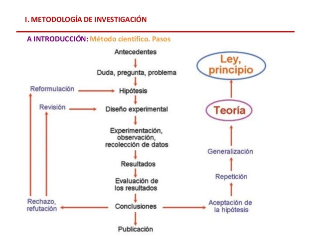 Metodologia Dela Investigacion Pdf